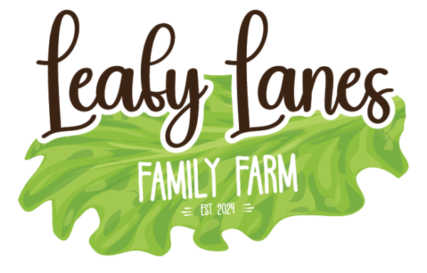 Leafy-Lanes-04-e1716837667630