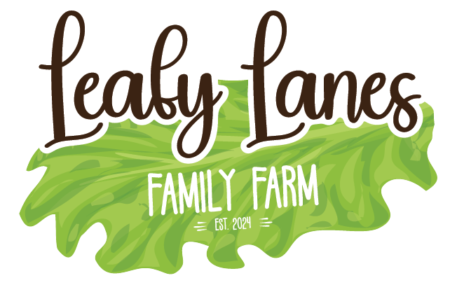 Leafy-Lanes-04